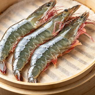 Premium Wild-Caught Jumbo Prawns